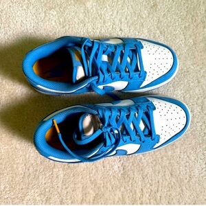 Women’s Nike dunk low coast